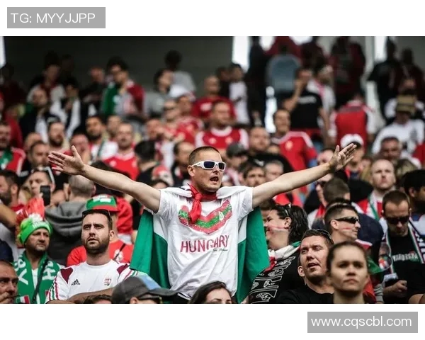 威尔士与匈牙利精彩对决集锦回顾赛场瞬间尽显足球魅力与激情